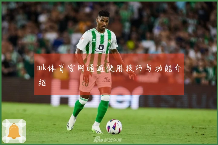 mk体育官网通道使用技巧与功能介绍